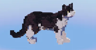Black and White Cat — Minecraft Build by LeonisBuilds