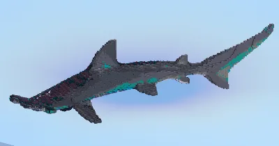Hammerhead Shark — Minecraft Build by LeonisBuilds