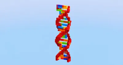 Deoxyribonucleic Acid — Minecraft Build by LeonisBuilds