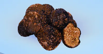 Truffle — Minecraft Build by LeonisBuilds