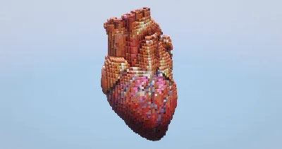 Human heart — Minecraft Build by LeonisBuilds